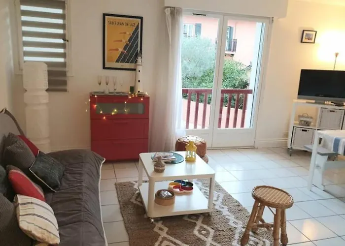 Itsas Aldea T2 A 3 Min A Pieds De La Baie De St Jean De Luz