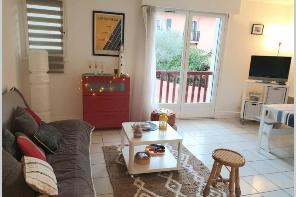 Apartment Itsas Aldea T2 A 3 Min A Pieds De La Baie De St Jean De Luz *